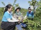 Hội viên phụ nữ xã Nghĩa Đàn vươn lên khẳng định  mình từ những phong trào thiết thực